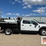 Dump trucks ford f 550 48102992 150x150