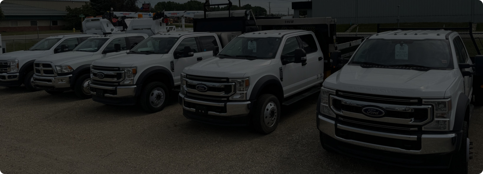 Four white trucks parked together in sunny day