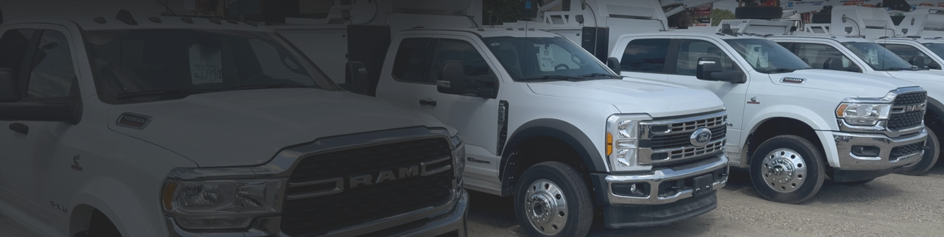 Trucks parked side by side in parking lot