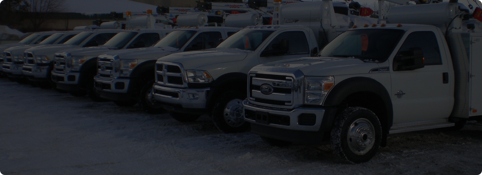 Trucks parked together sunny day