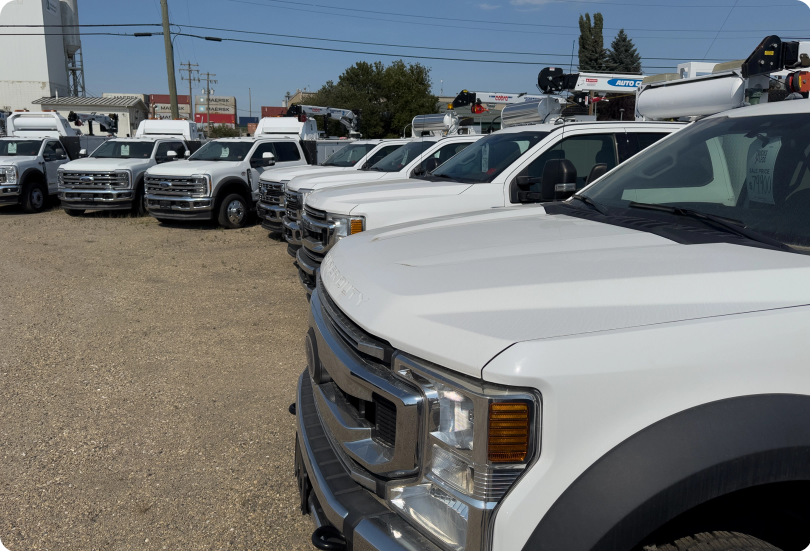 White trucks in sunny day in parking lot